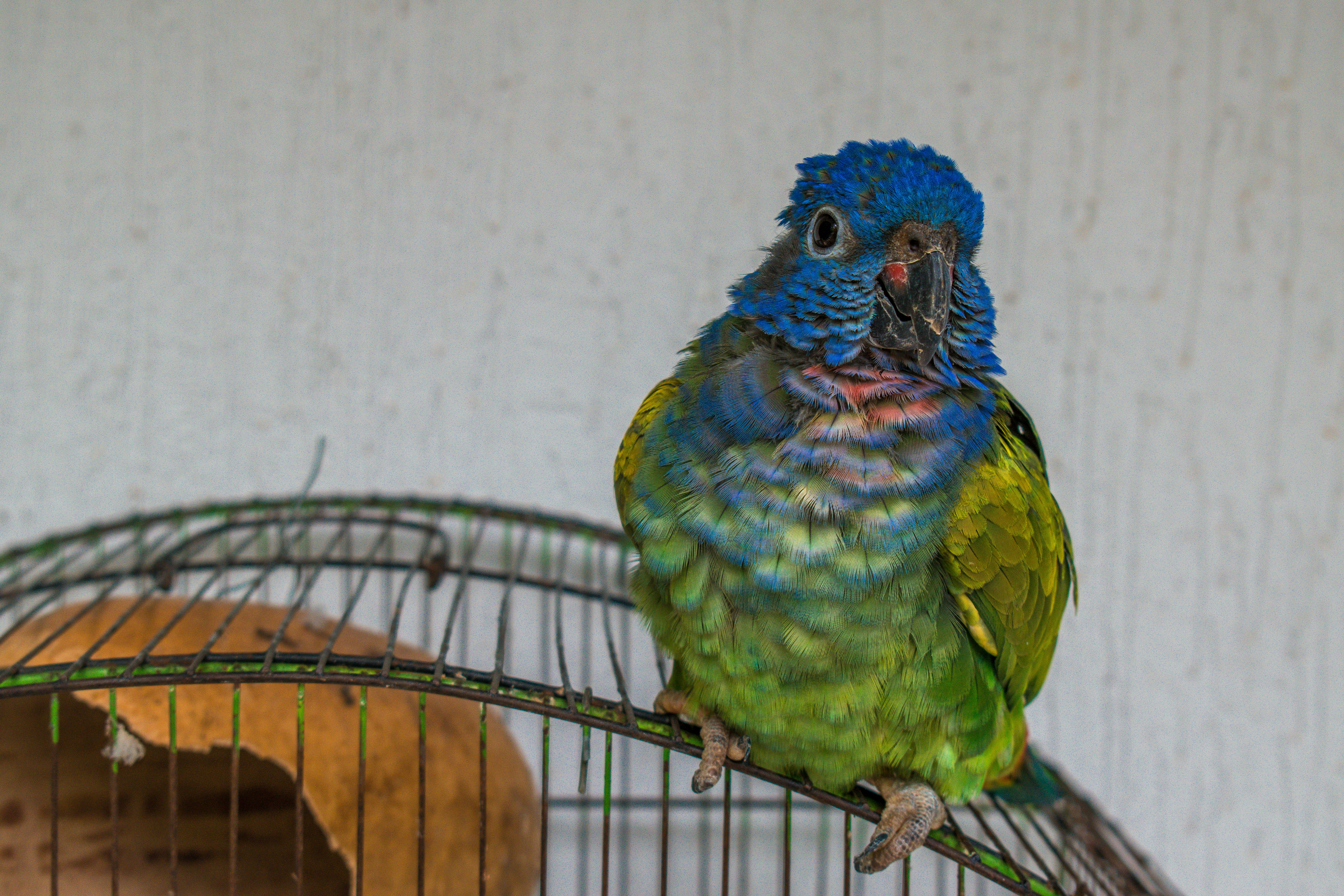 Photo by mateorojas7