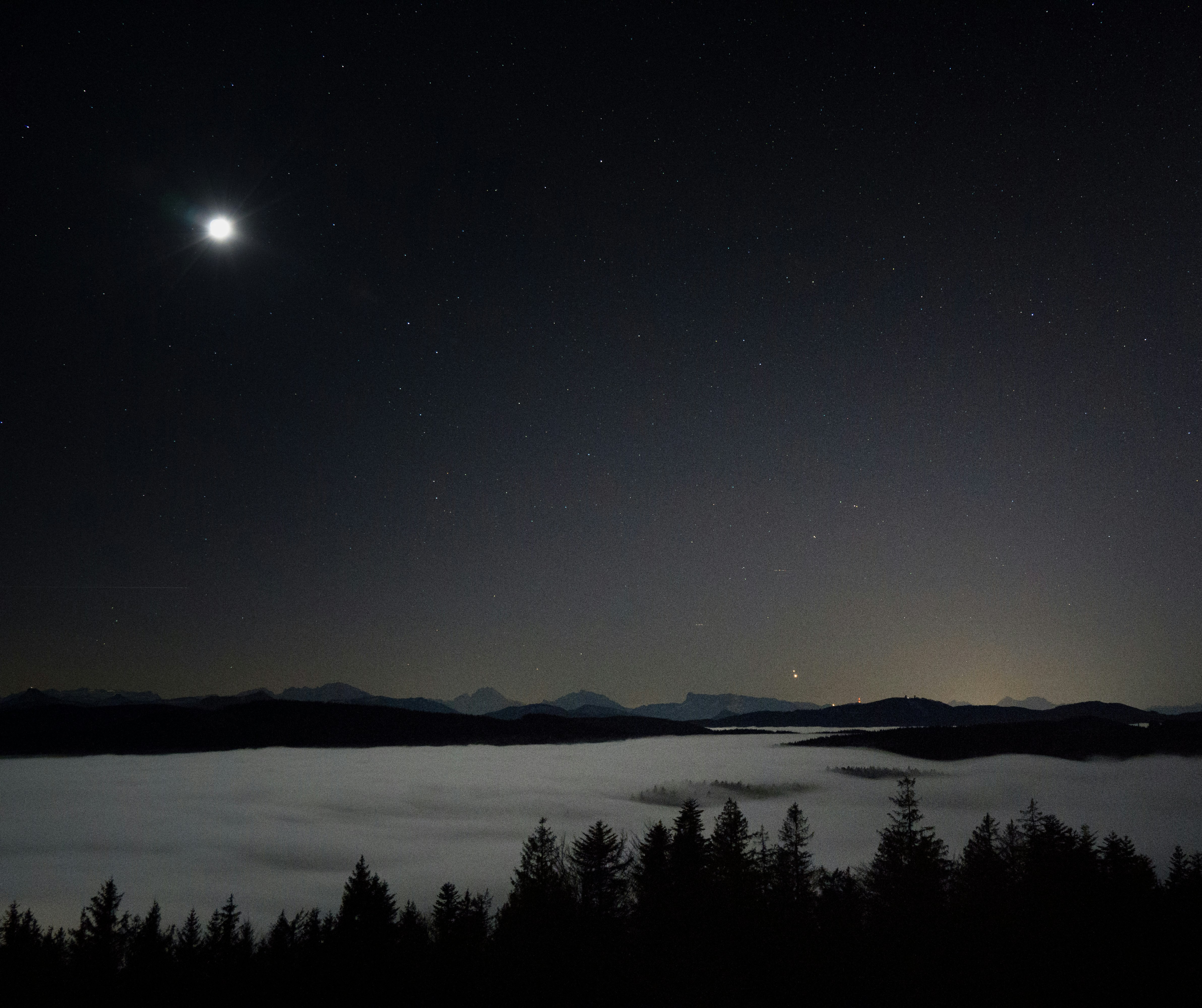 silhouette of trees near mountain during night time