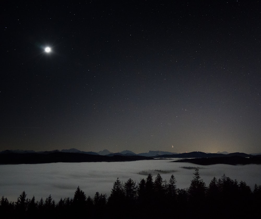 silhouette of trees near mountain during night time