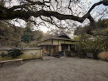 A traditional Japanese-style house surrounded by a serene garden with dense foliage. An overhanging tree branch frames the view, casting intricate shadows on the ground. The building has a simple architectural design with tatami mats visible through the openings, and it is set against a backdrop of lush greenery.