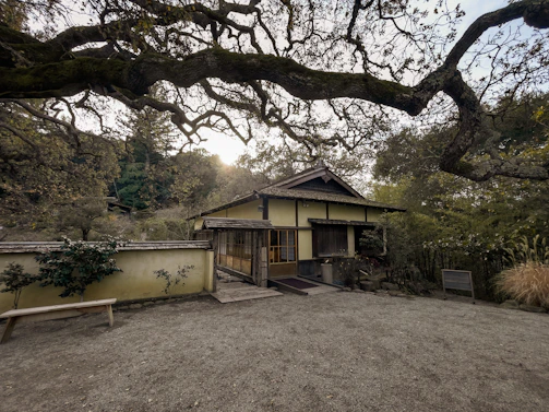 A traditional Japanese-style house surrounded by a serene garden with dense foliage. An overhanging tree branch frames the view, casting intricate shadows on the ground. The building has a simple architectural design with tatami mats visible through the openings, and it is set against a backdrop of lush greenery.