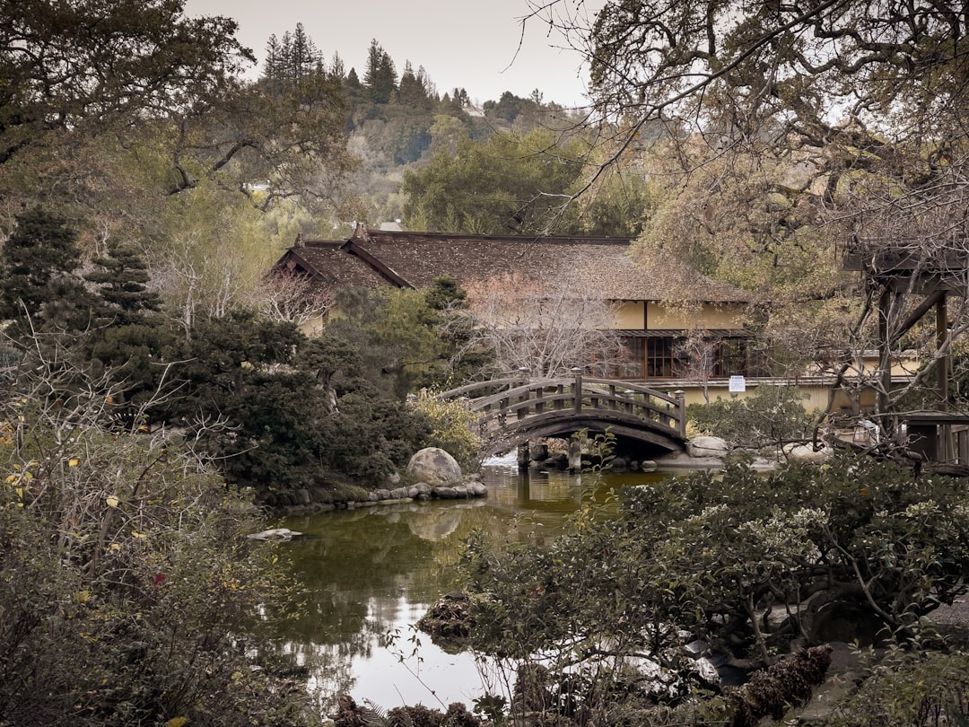 brown wooden bridge over river