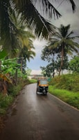 A narrow, winding rural road is bordered by dense, lush greenery with palm trees arching over. A single auto rickshaw travels along the wet pavement, suggesting recent rain. In the background, some structures peek through the foliage.