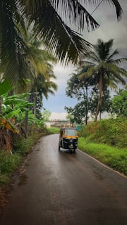 A narrow, winding rural road is bordered by dense, lush greenery with palm trees arching over. A single auto rickshaw travels along the wet pavement, suggesting recent rain. In the background, some structures peek through the foliage.