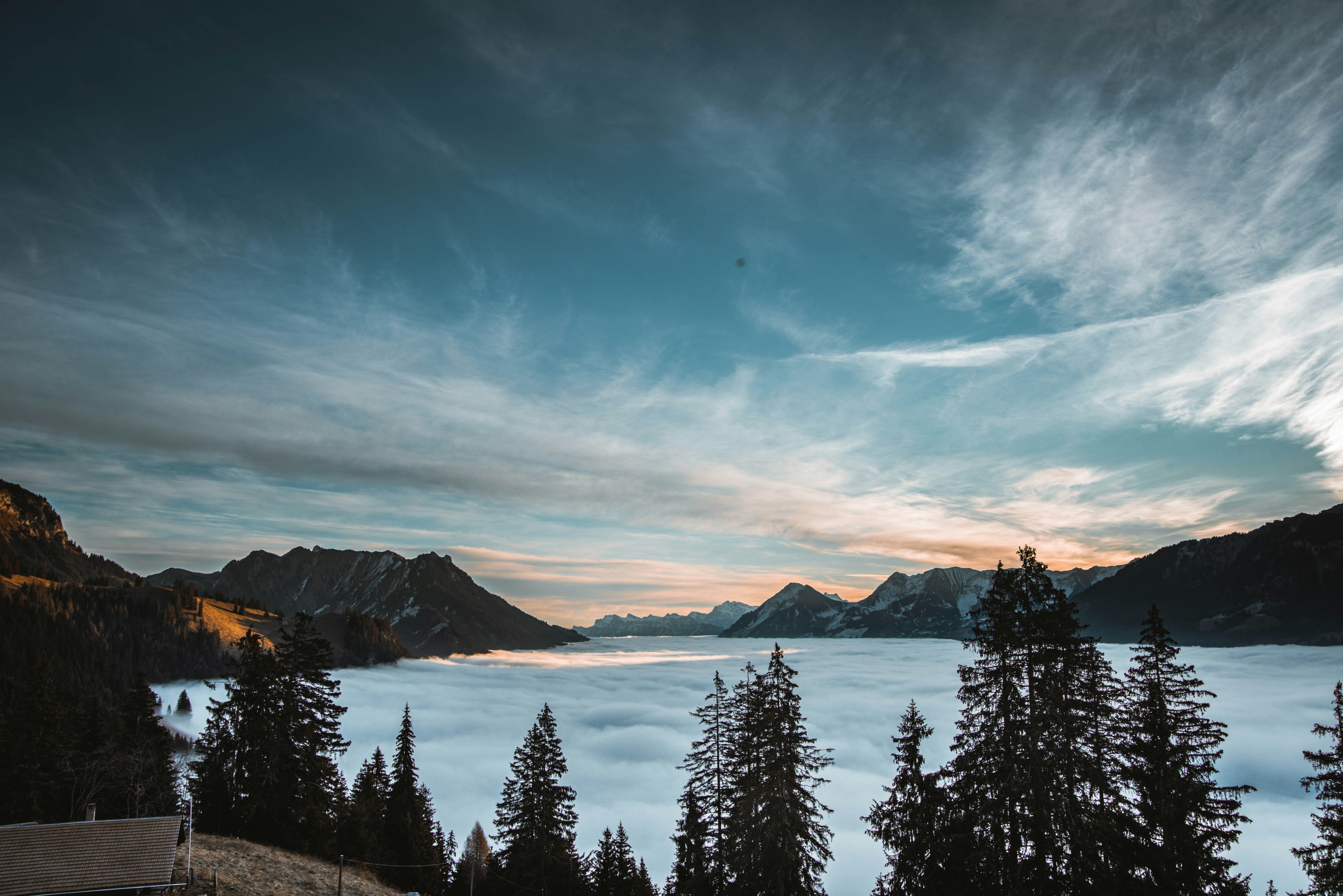 green pine trees near mountain under blue sky during daytime