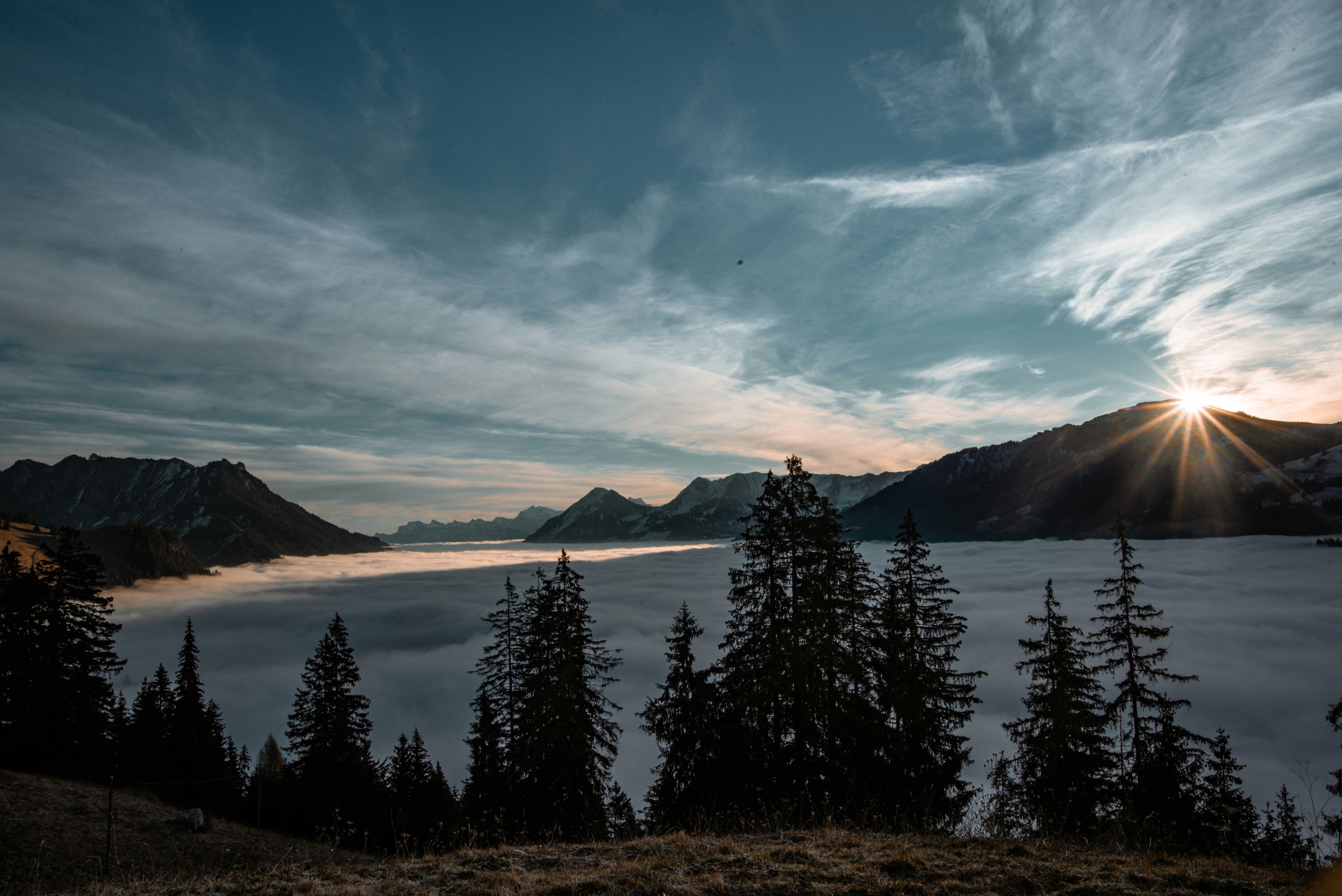 Photo by sven_pieren