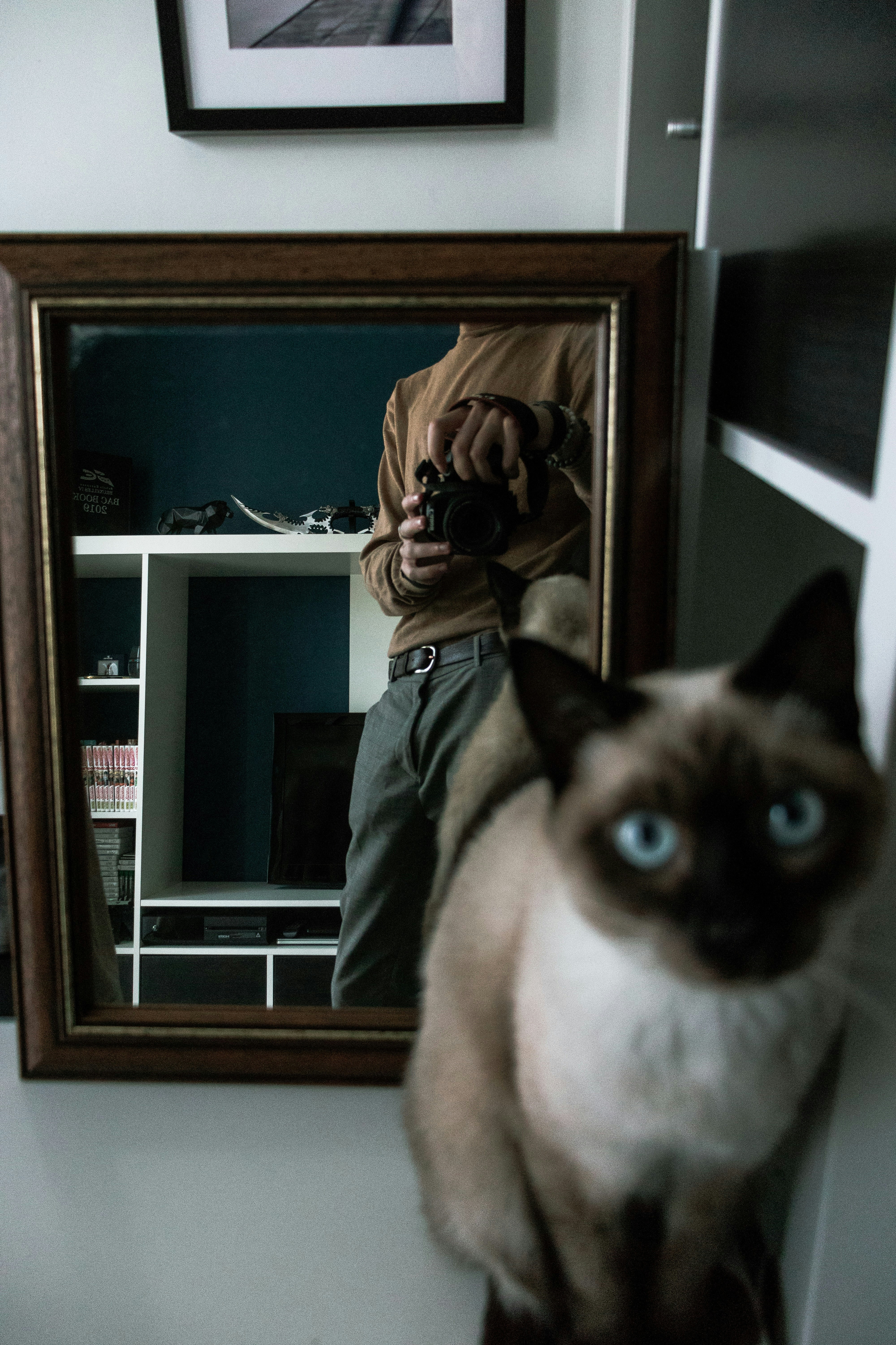 An Uncanny Sense of Empathy (image credits: unsplash)