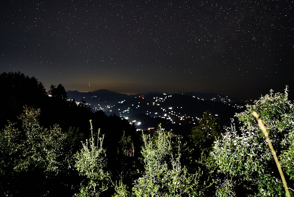 green trees and mountain during night time