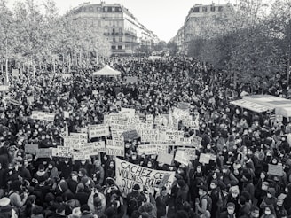 people standing on the street during daytime