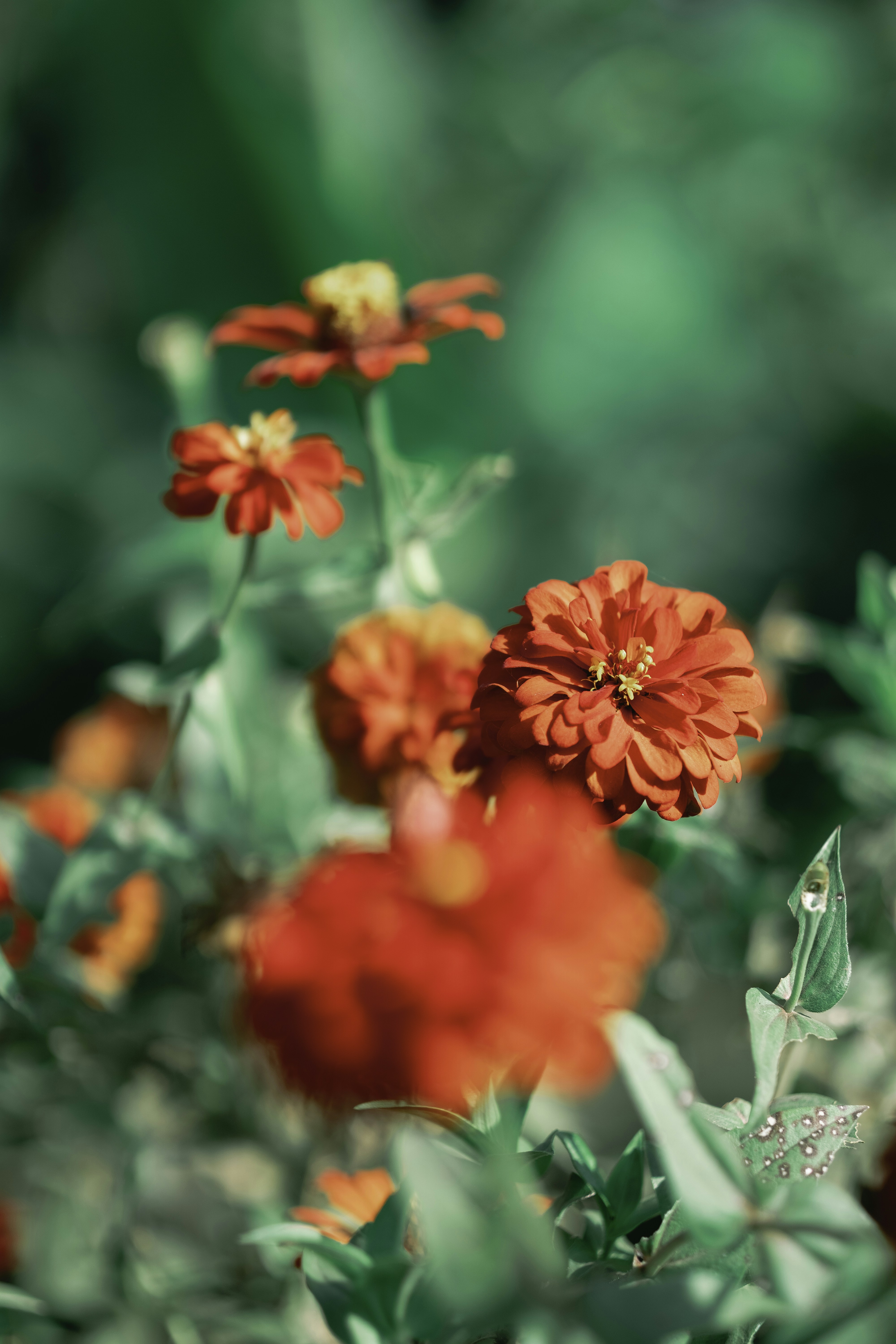 Photo by theriusphotography