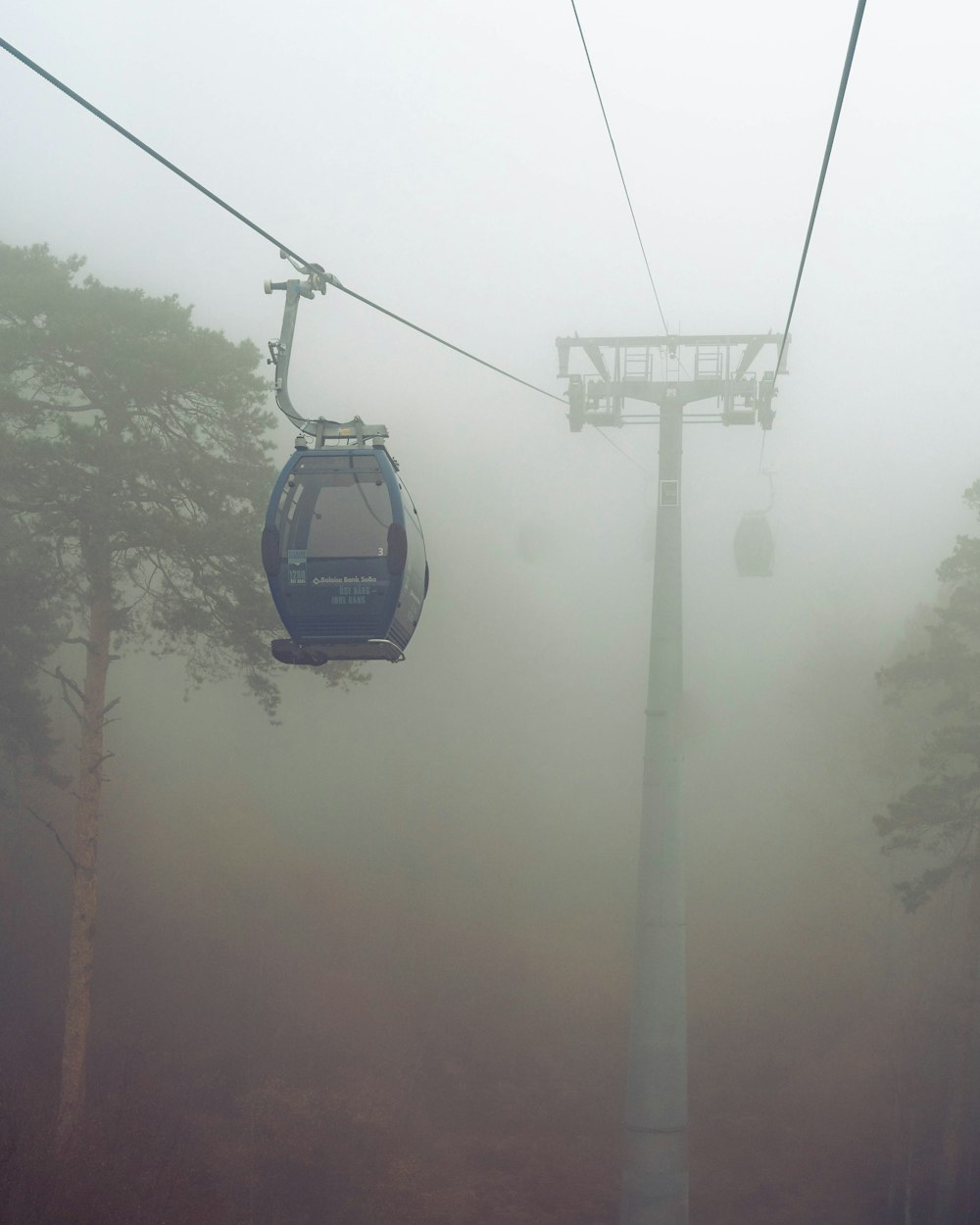 black cable car over green trees during daytime