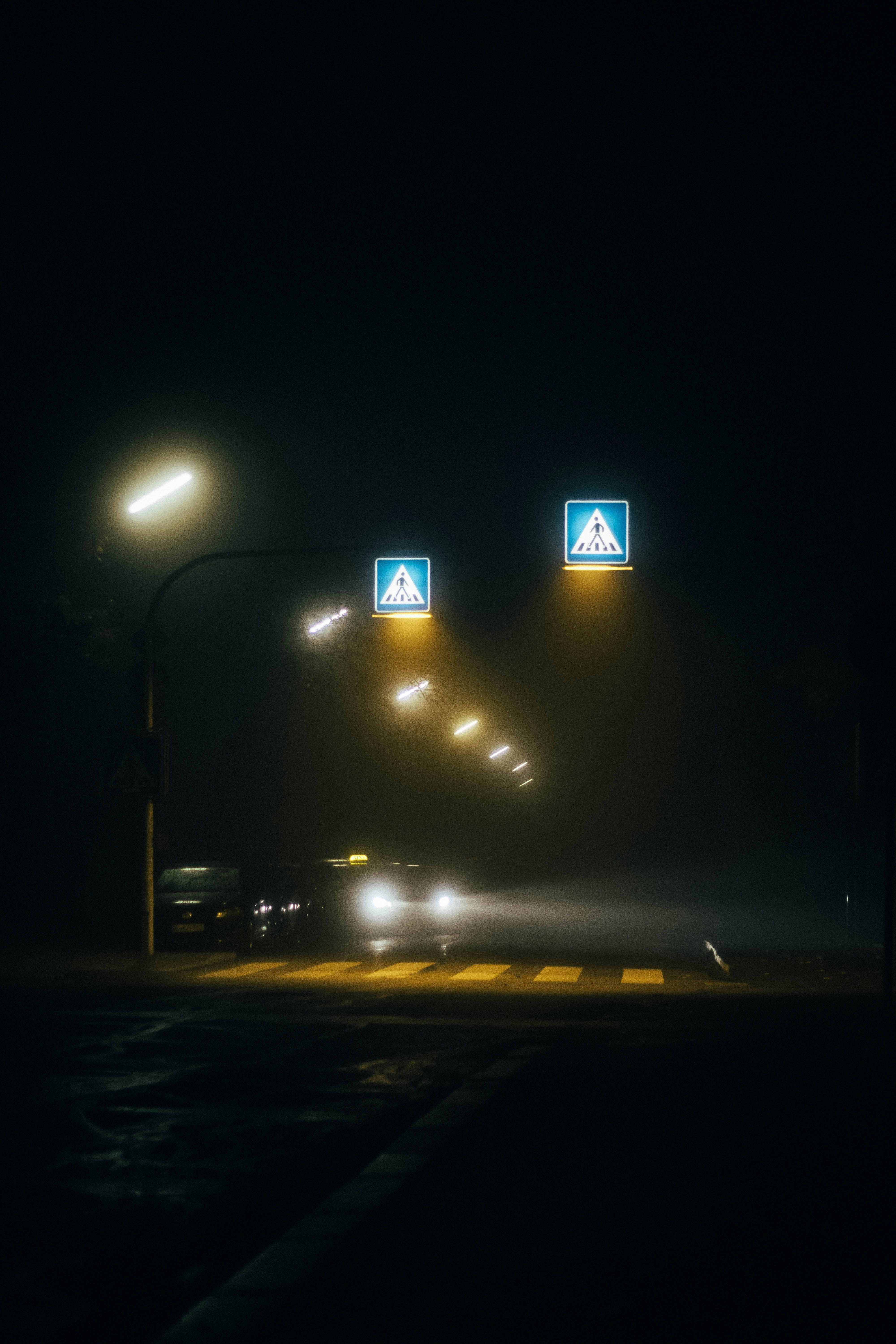 Photo by solbrigkevin