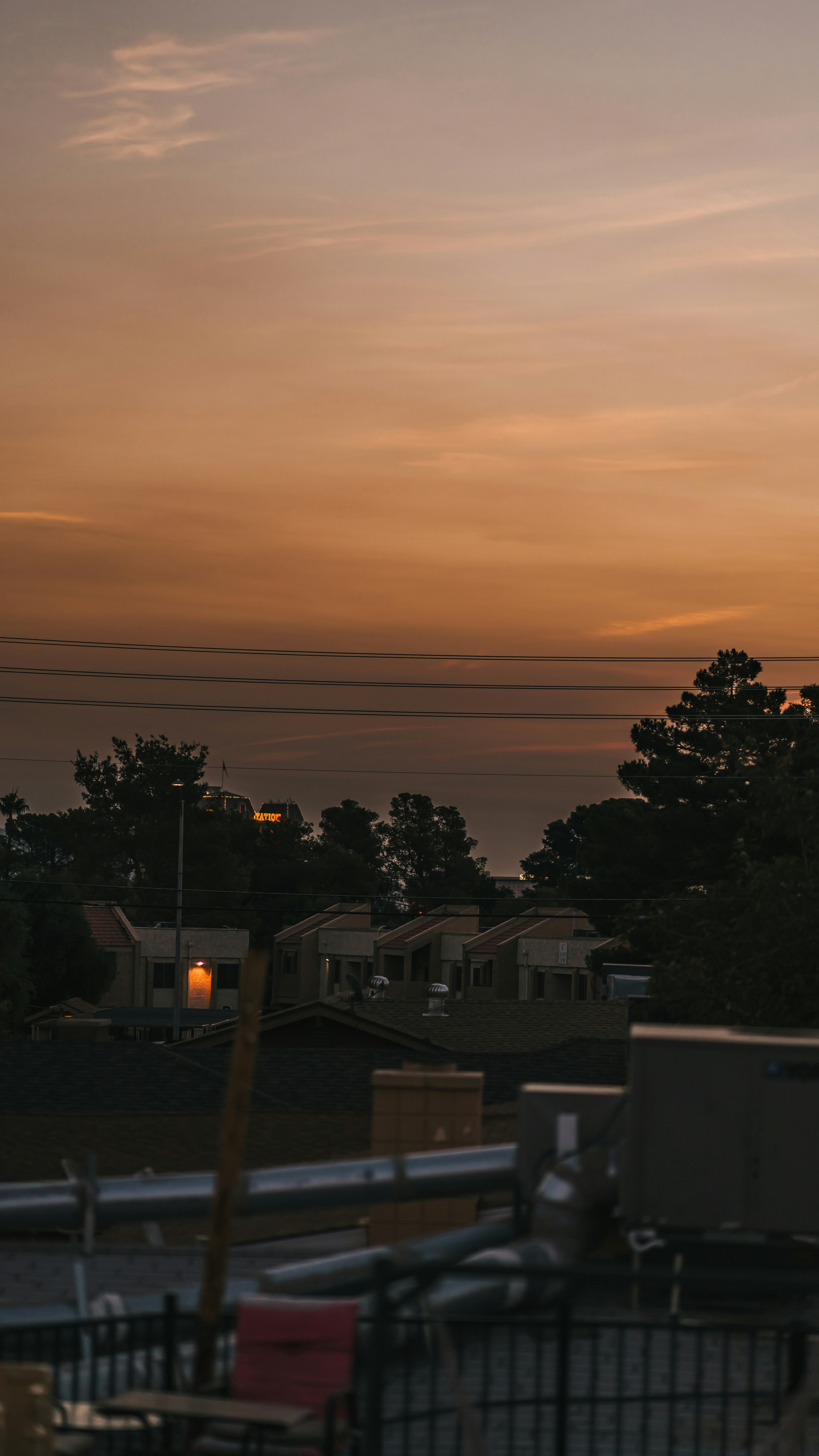 case vicino agli alberi durante il tramonto