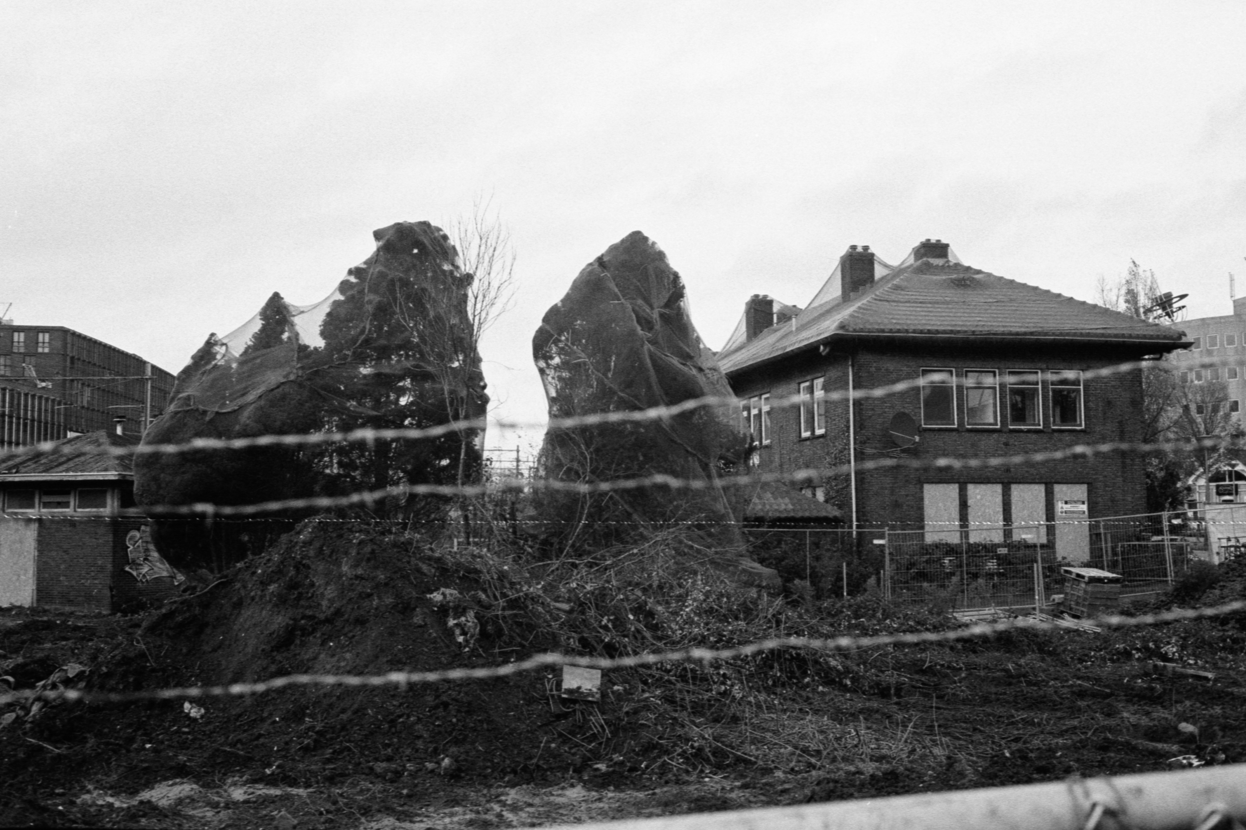 Photo by jeancarloemer