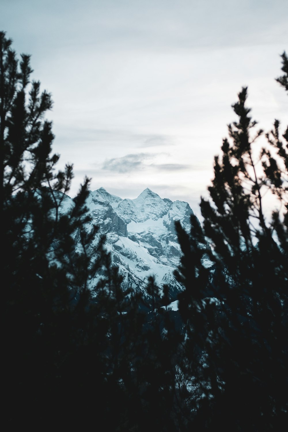 snow covered mountain during daytime