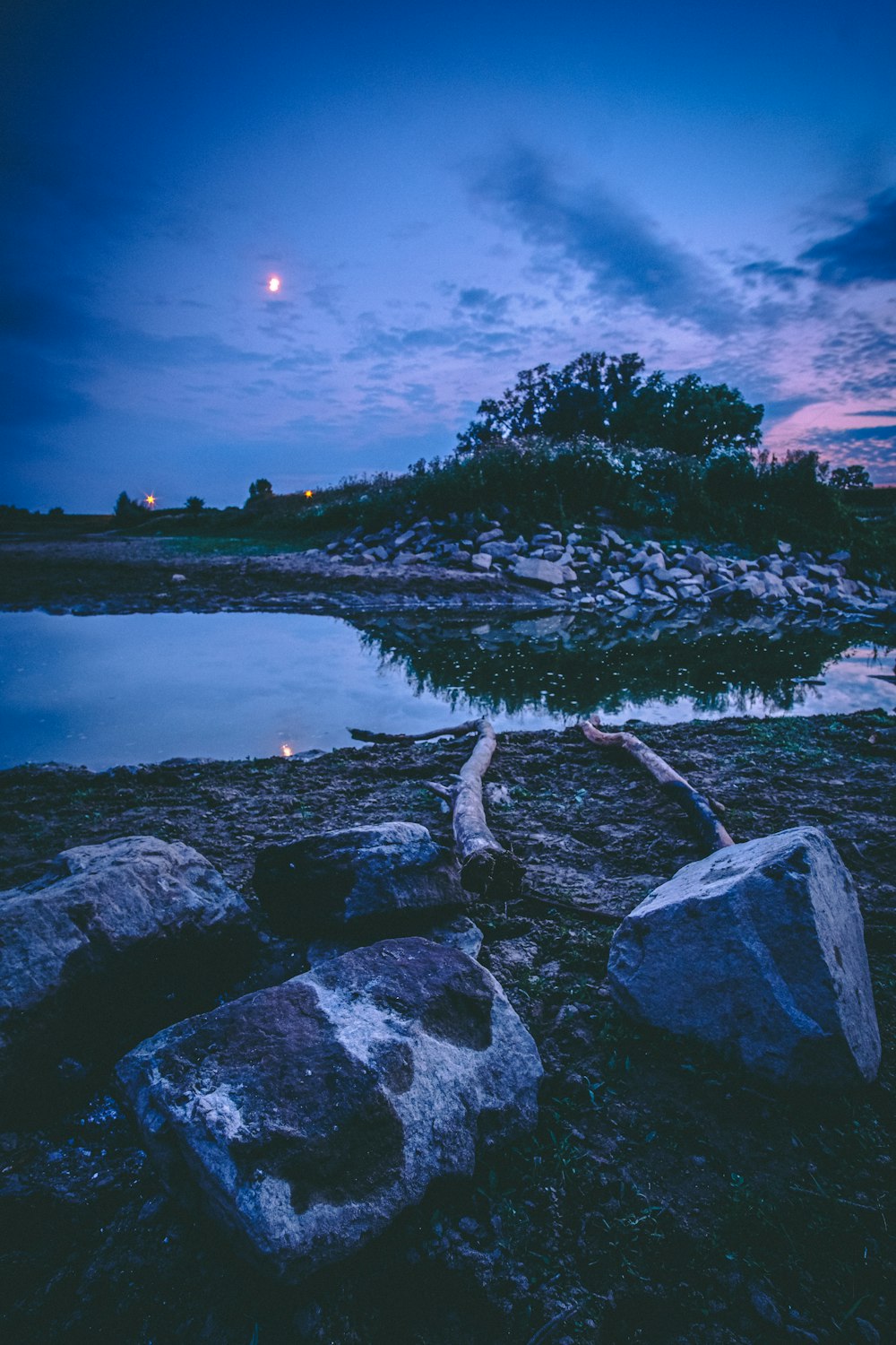 green trees near body of water during night time