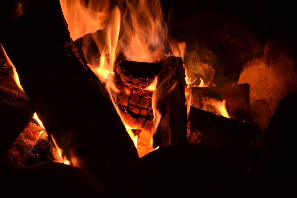 burning wood in fire pit