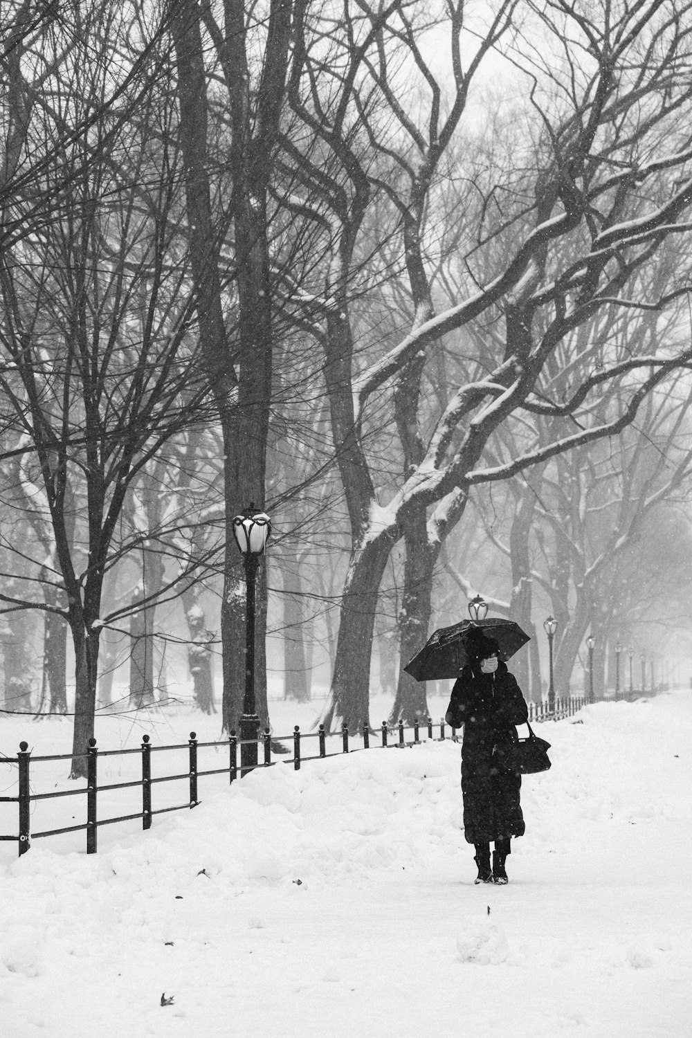 person in black coat holding umbrella walking on snow covered ground
