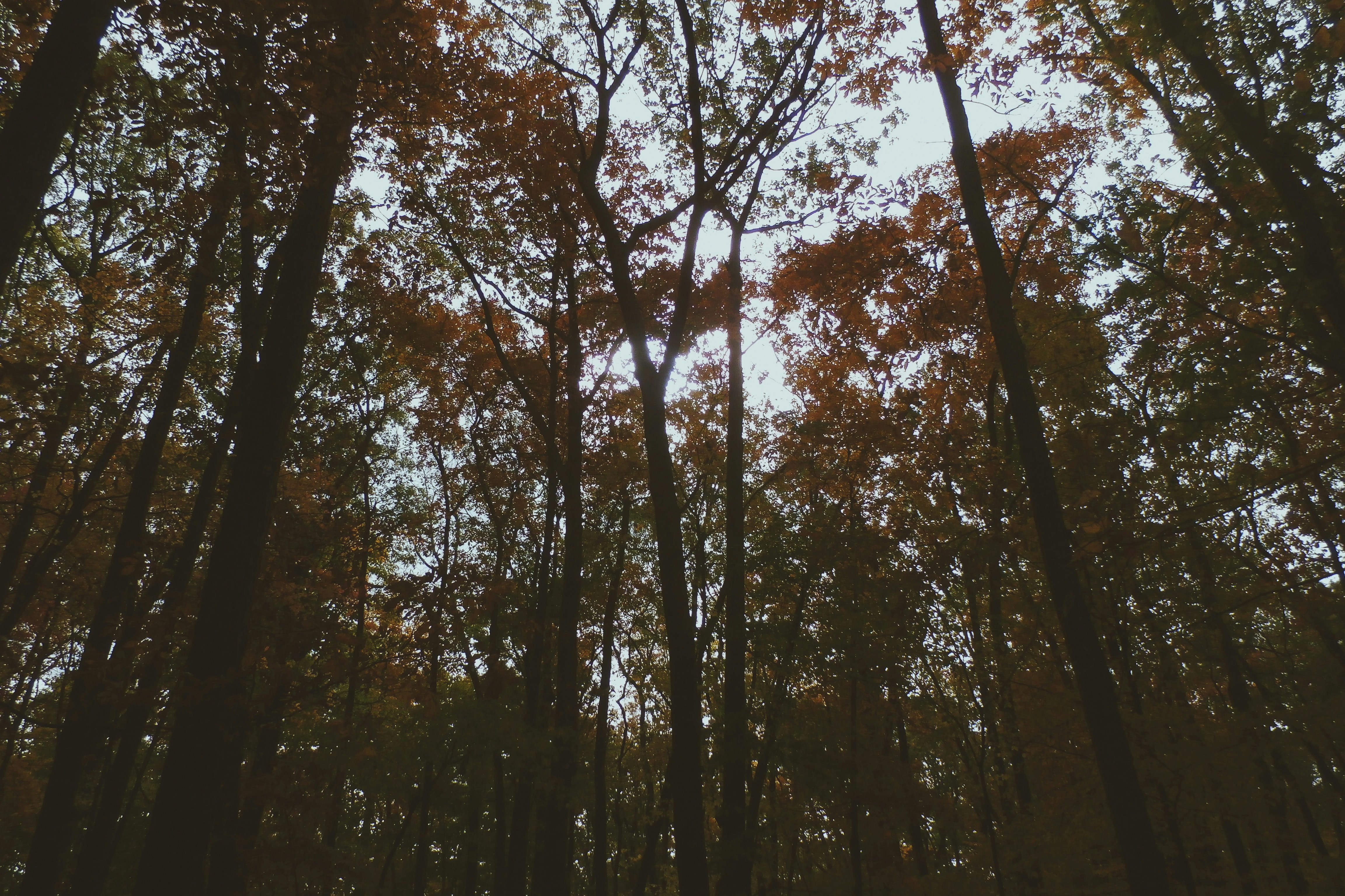 Photo by siamorg
