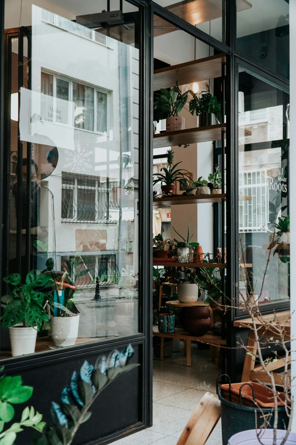 green potted plant on brown wooden table