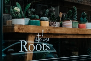 A rustic wooden shelf displaying a variety of succulent pot sets in colorful ceramic containers.