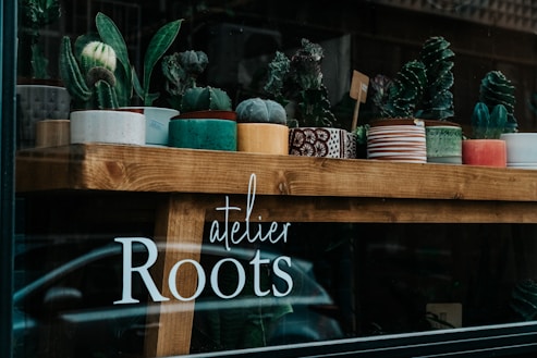 A wooden shelf displays a variety of potted plants, featuring different types of succulents in colorful and patterned ceramic pots. The shelf is part of a shop window, with the words 'atelier Roots' visible on the glass.