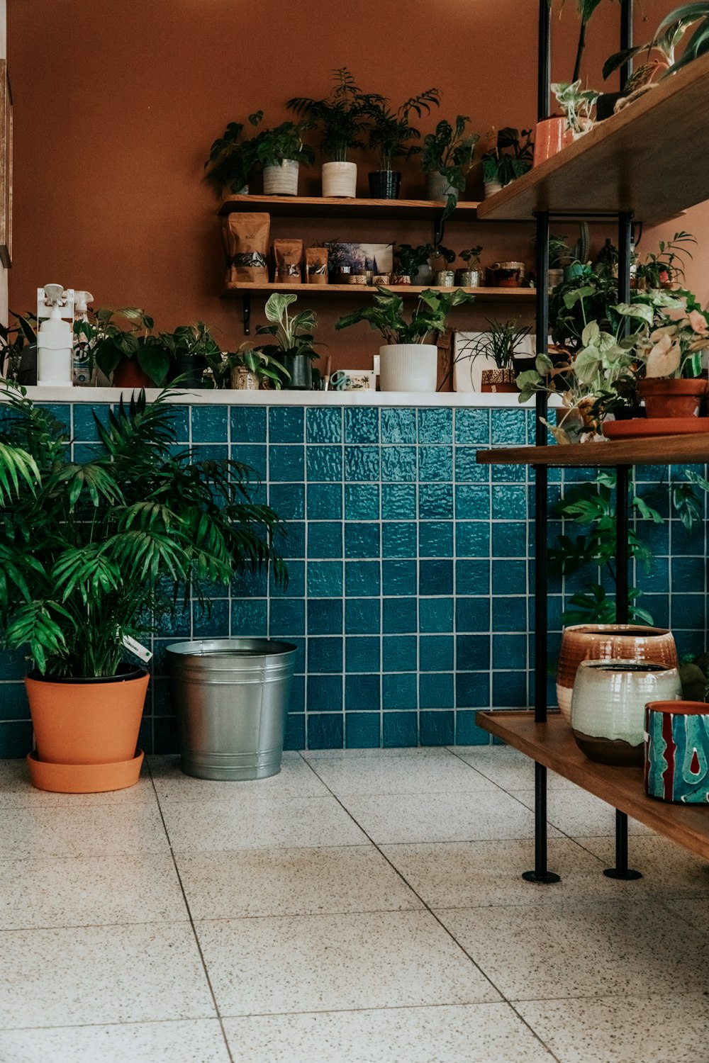 potted green plants on brown wooden table