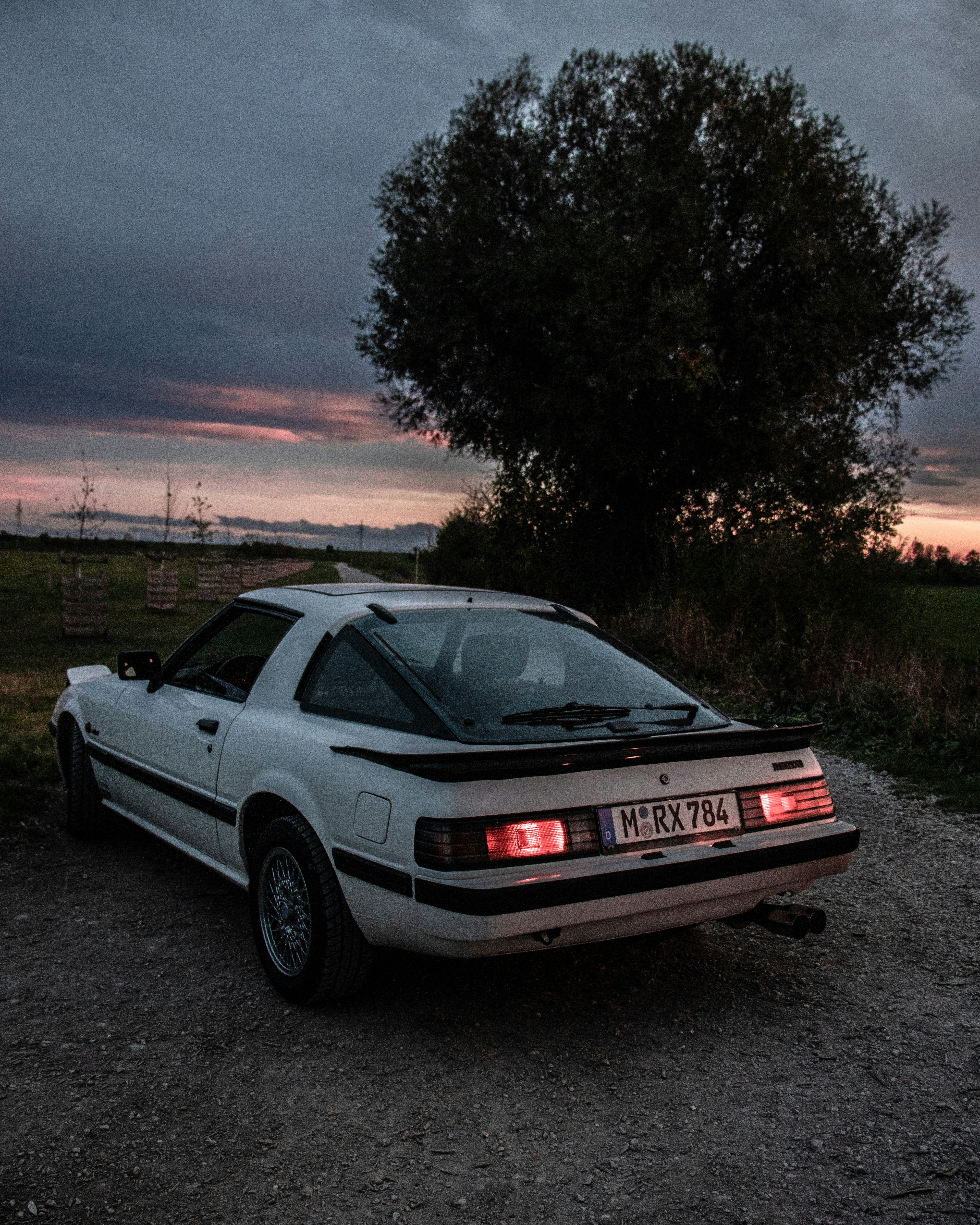 Photo by solbrigkevin