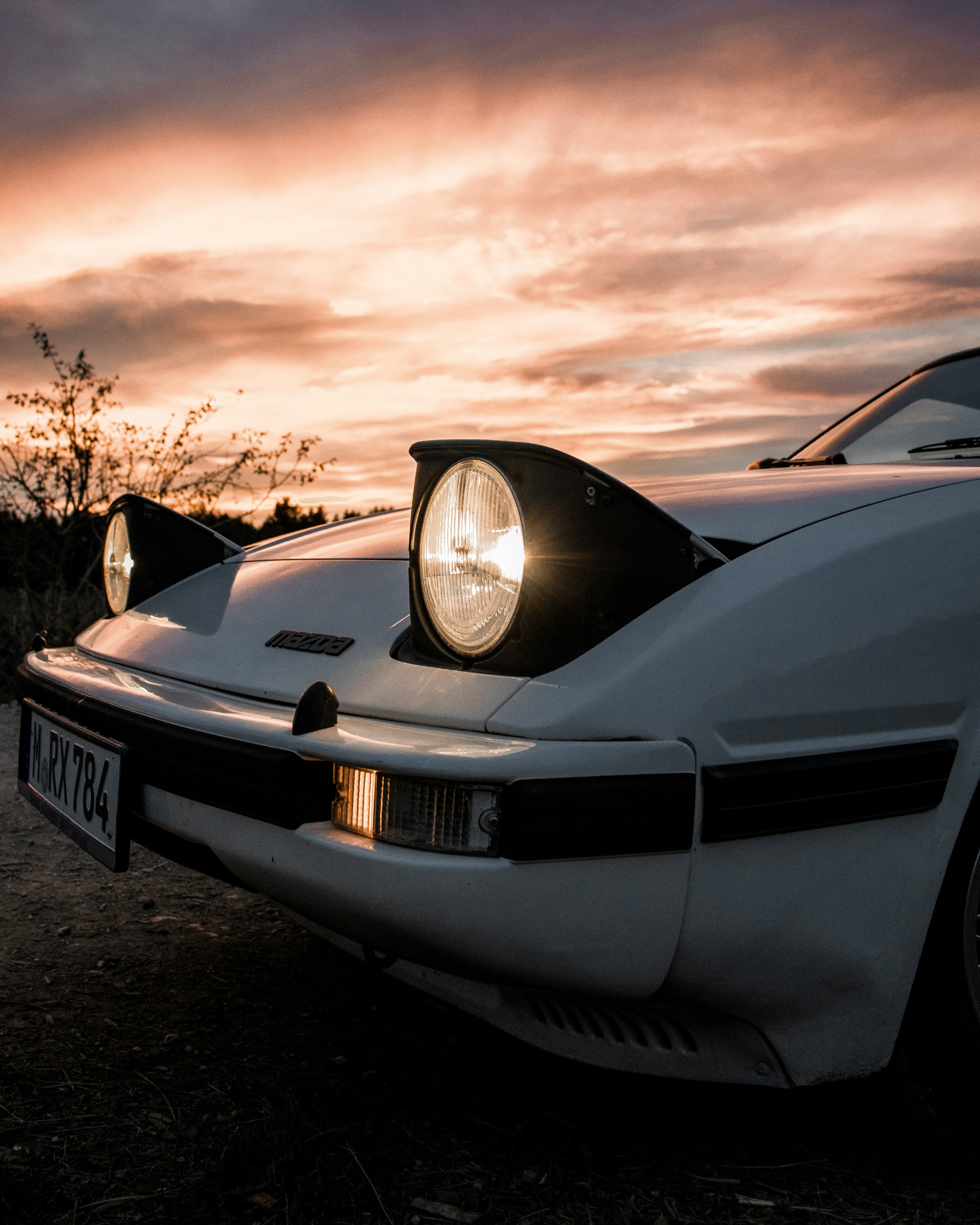 Photo by solbrigkevin