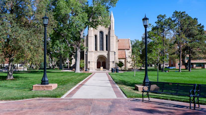 brown concrete building near green trees during daytime