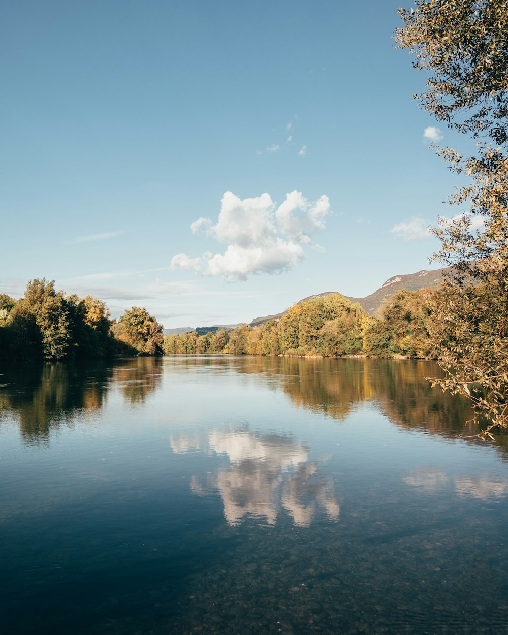 green trees near lake under blue sky during daytime