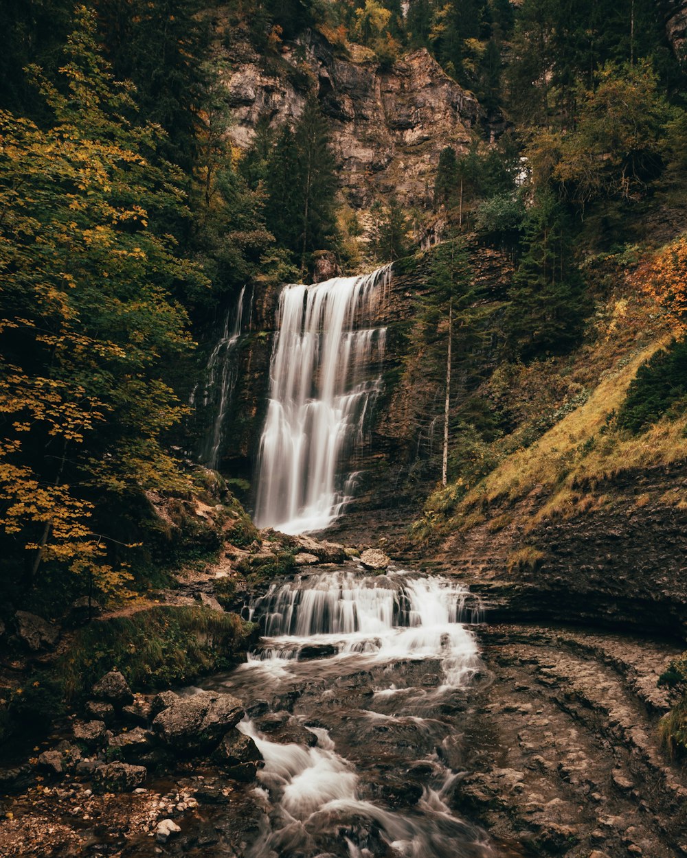 waterfalls in forest during daytime