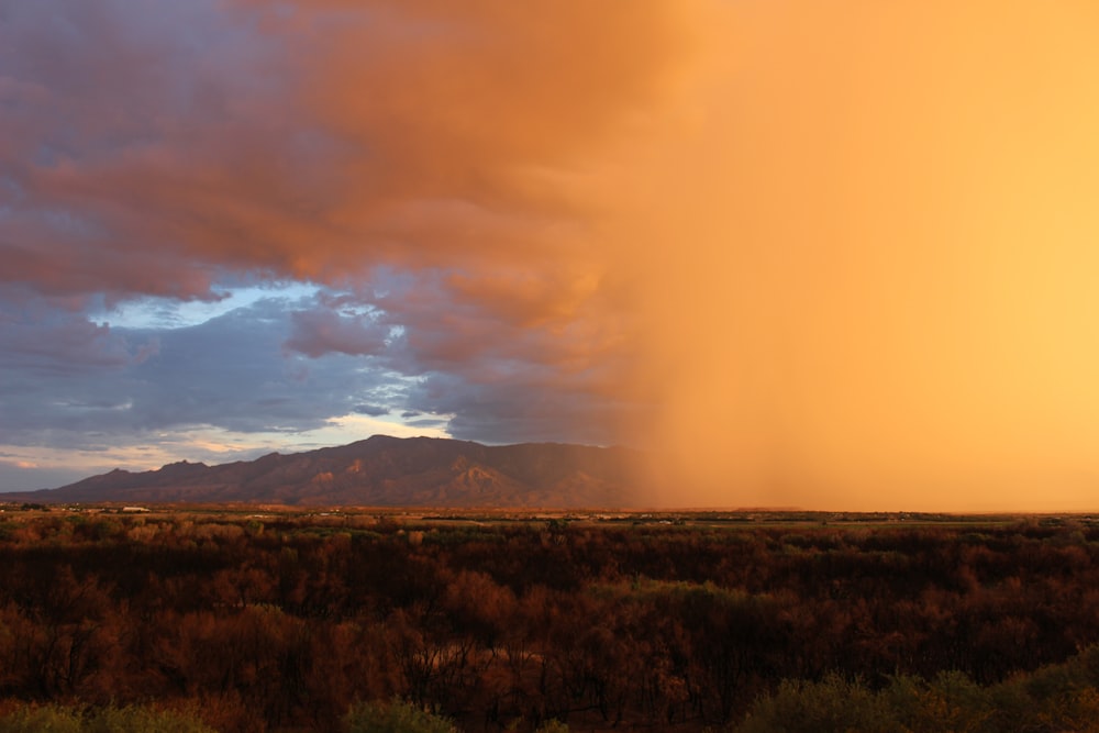 brown grass field near mountain under white clouds