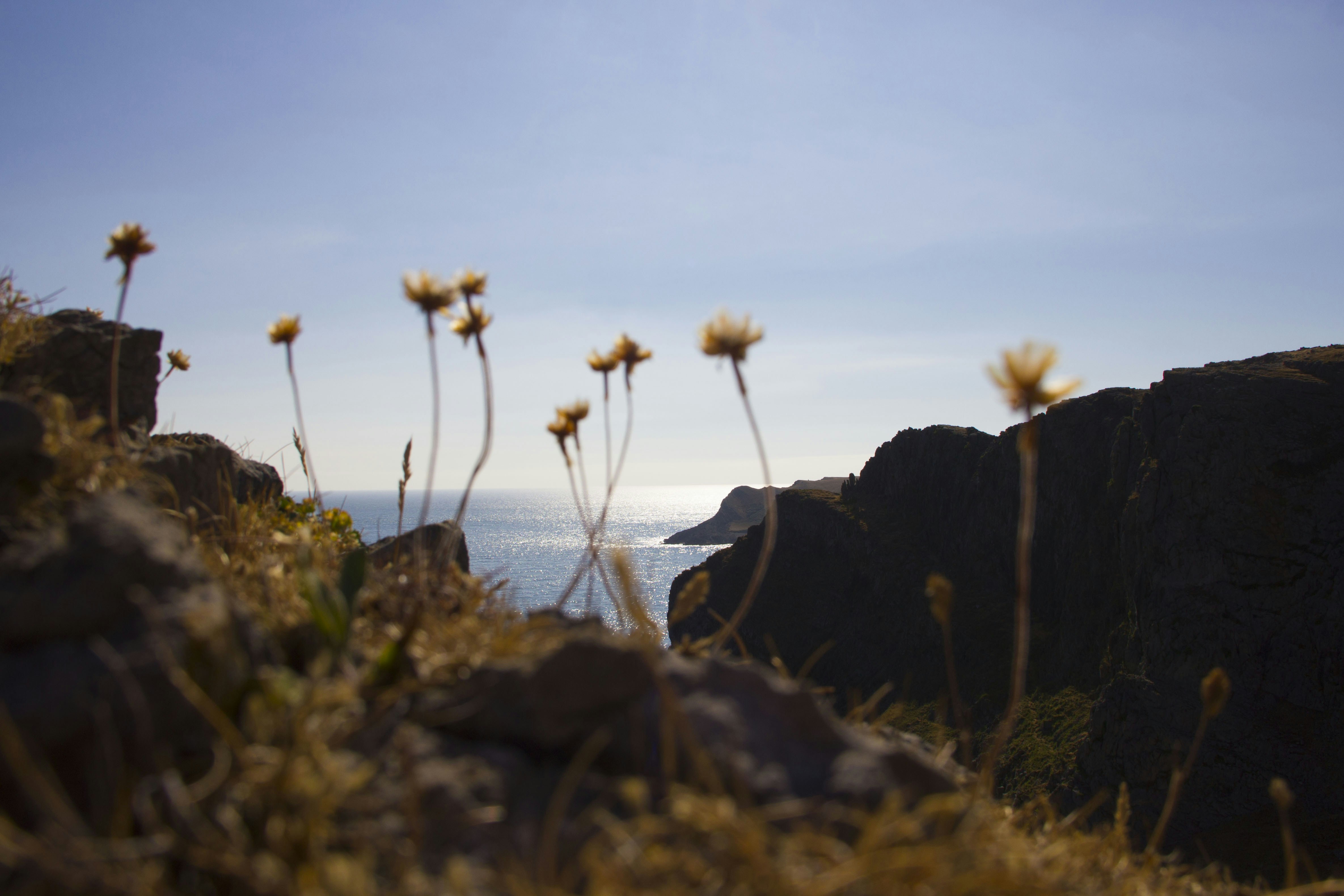 Photo by chrisjones05