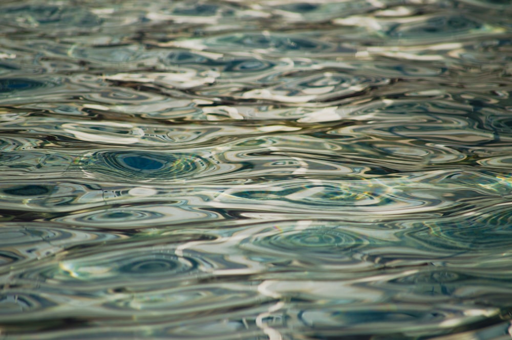 water drop on body of water