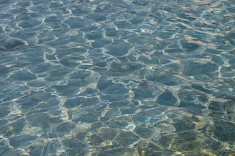 Photo 1608590047245 5809b9ebf415?q=85&w=340&h=340&fit=crop