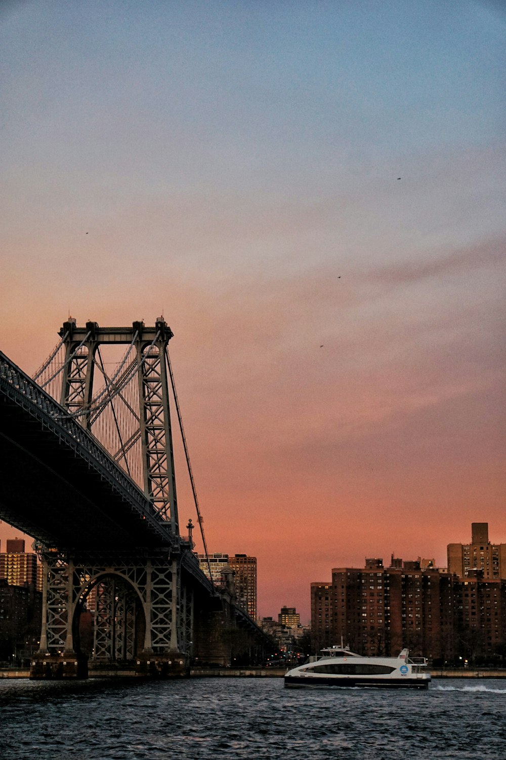 bridge over the city during daytime