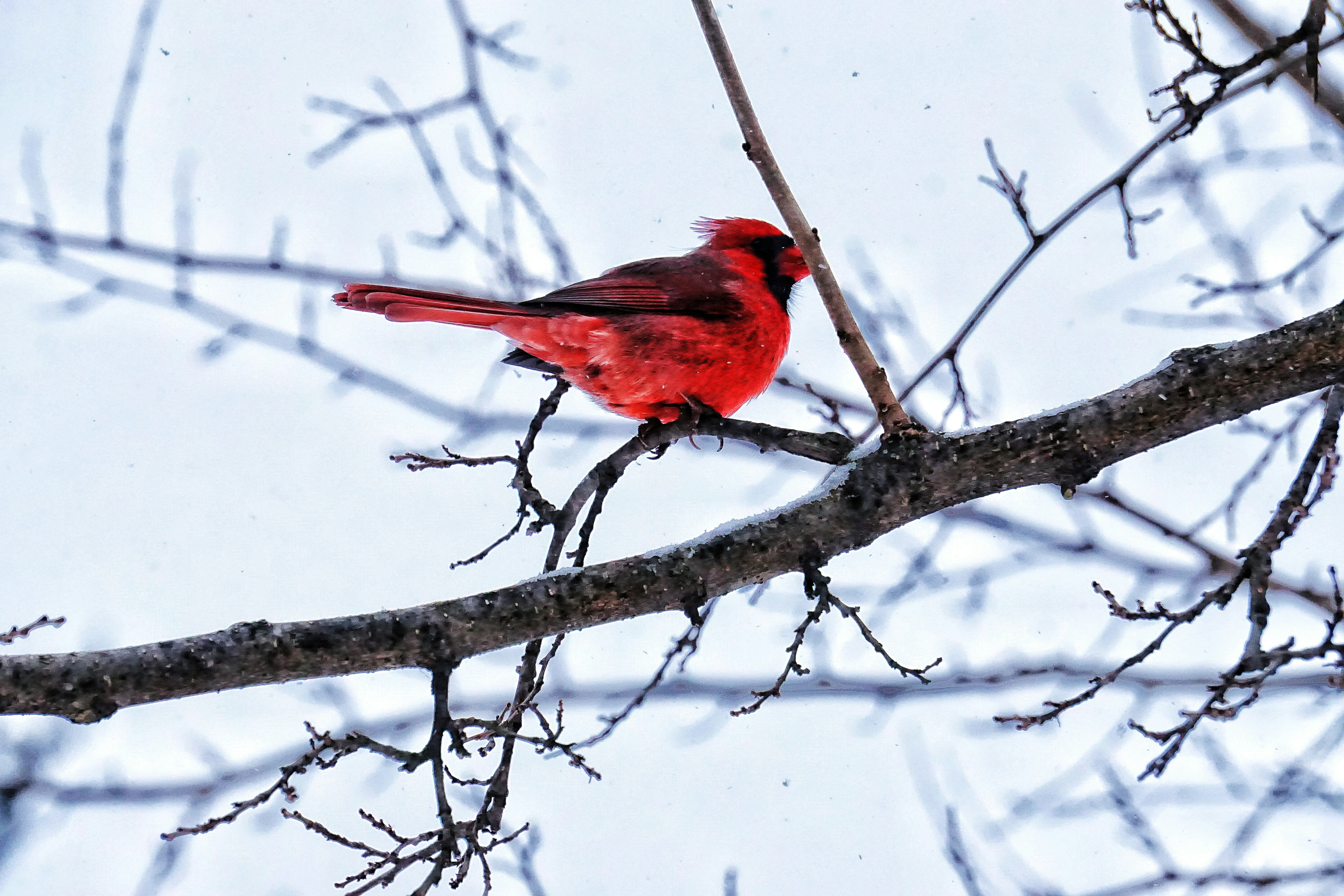 Photo by lailazouaki