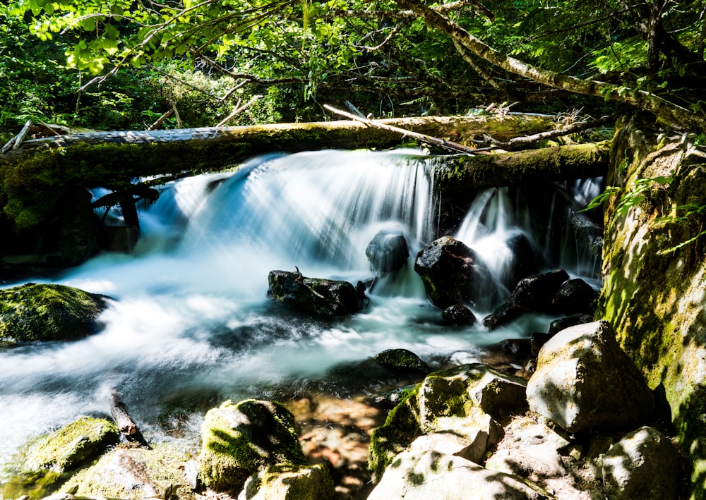 time lapse photography of water falls