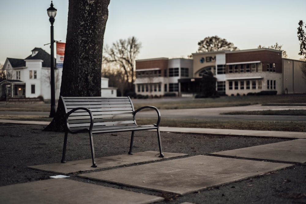 black metal bench near brown tree during daytime