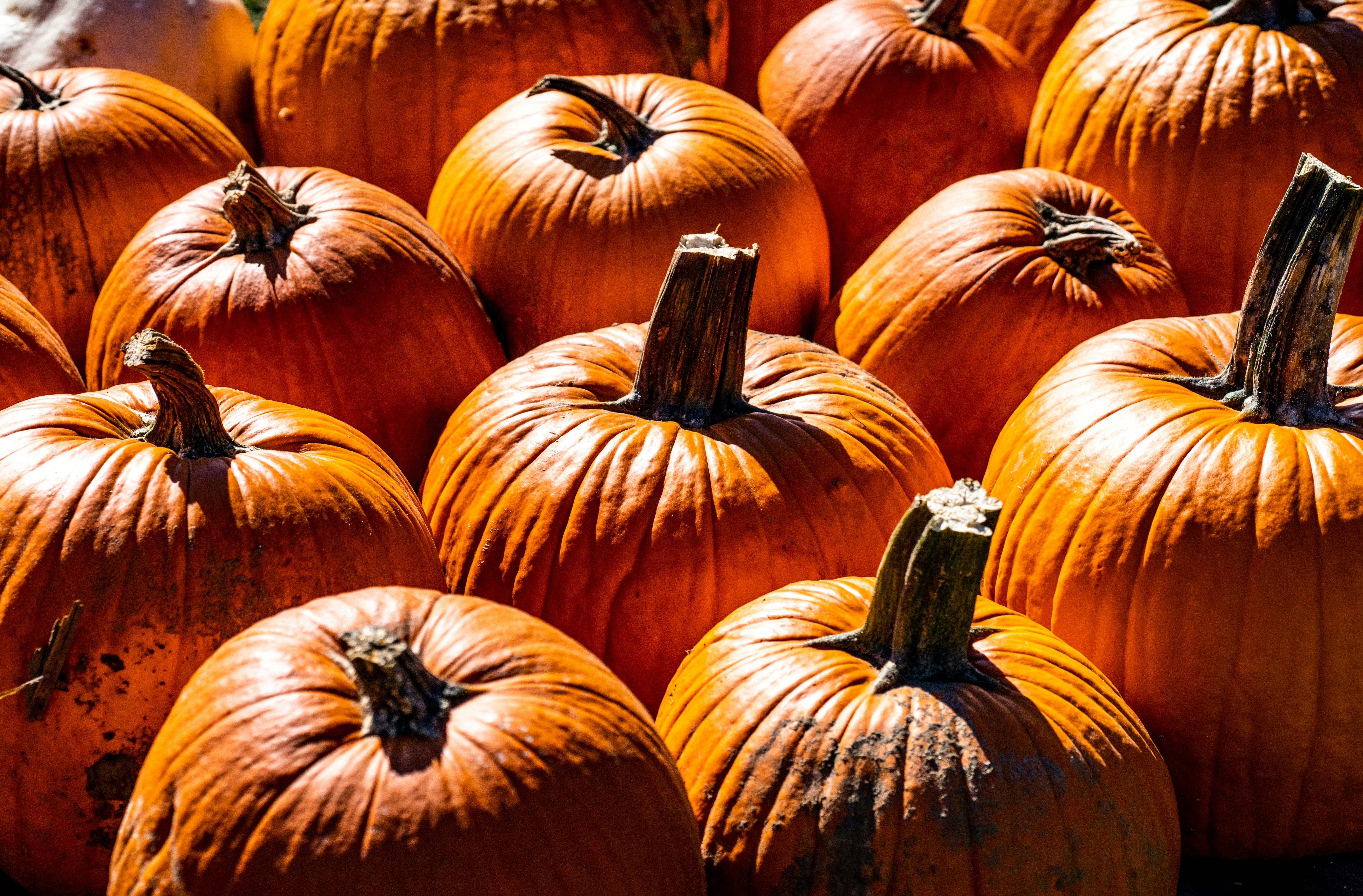 Photo by chris_robert