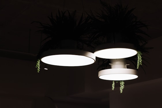 Three round, white lamps with ferns and green plants draping over the edges. The lamps emit a bright light, creating a soft glow against a dark background.