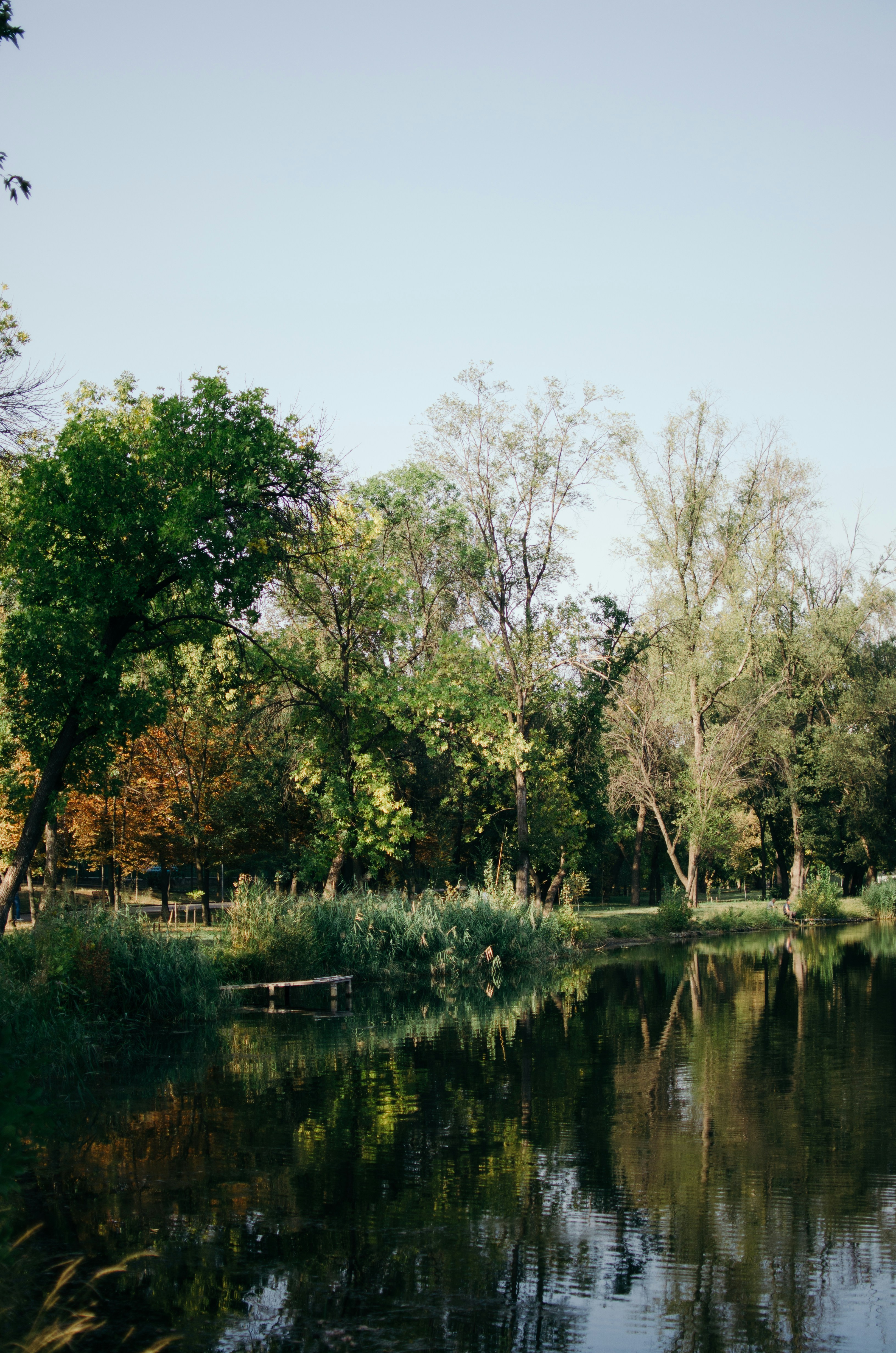 Photo by alina_ryabchenko