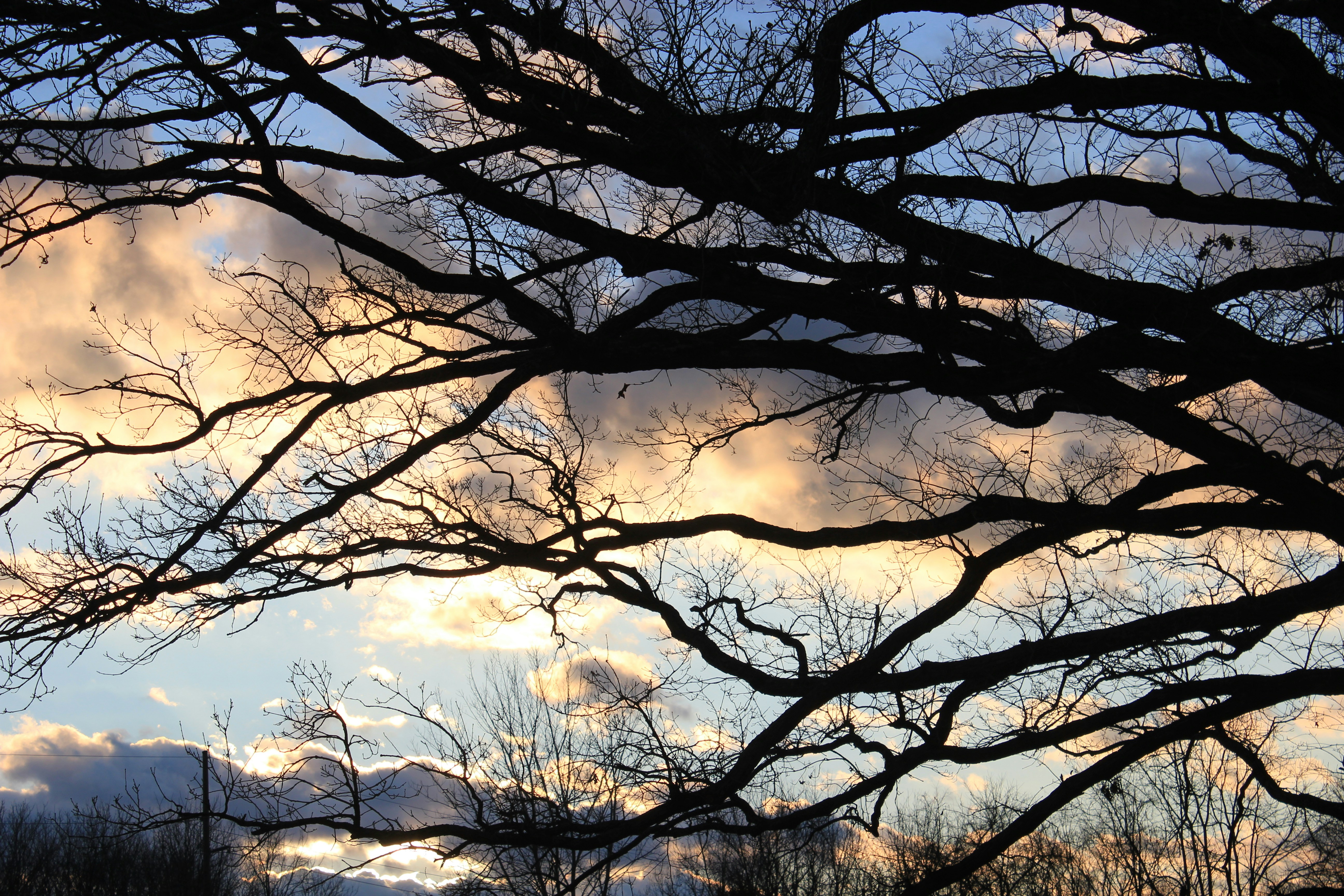 Photo by mrgreatheart