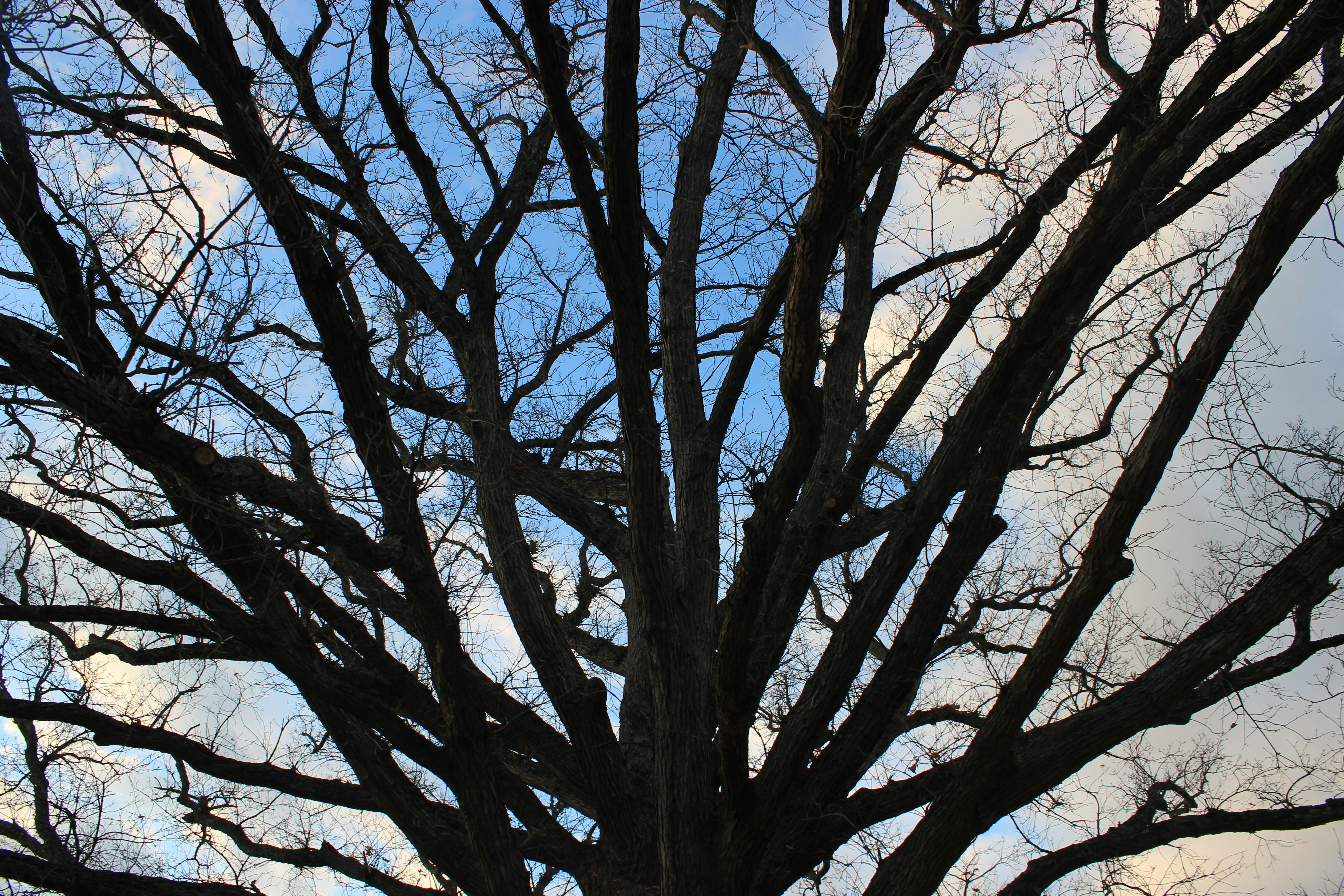 Photo by mrgreatheart