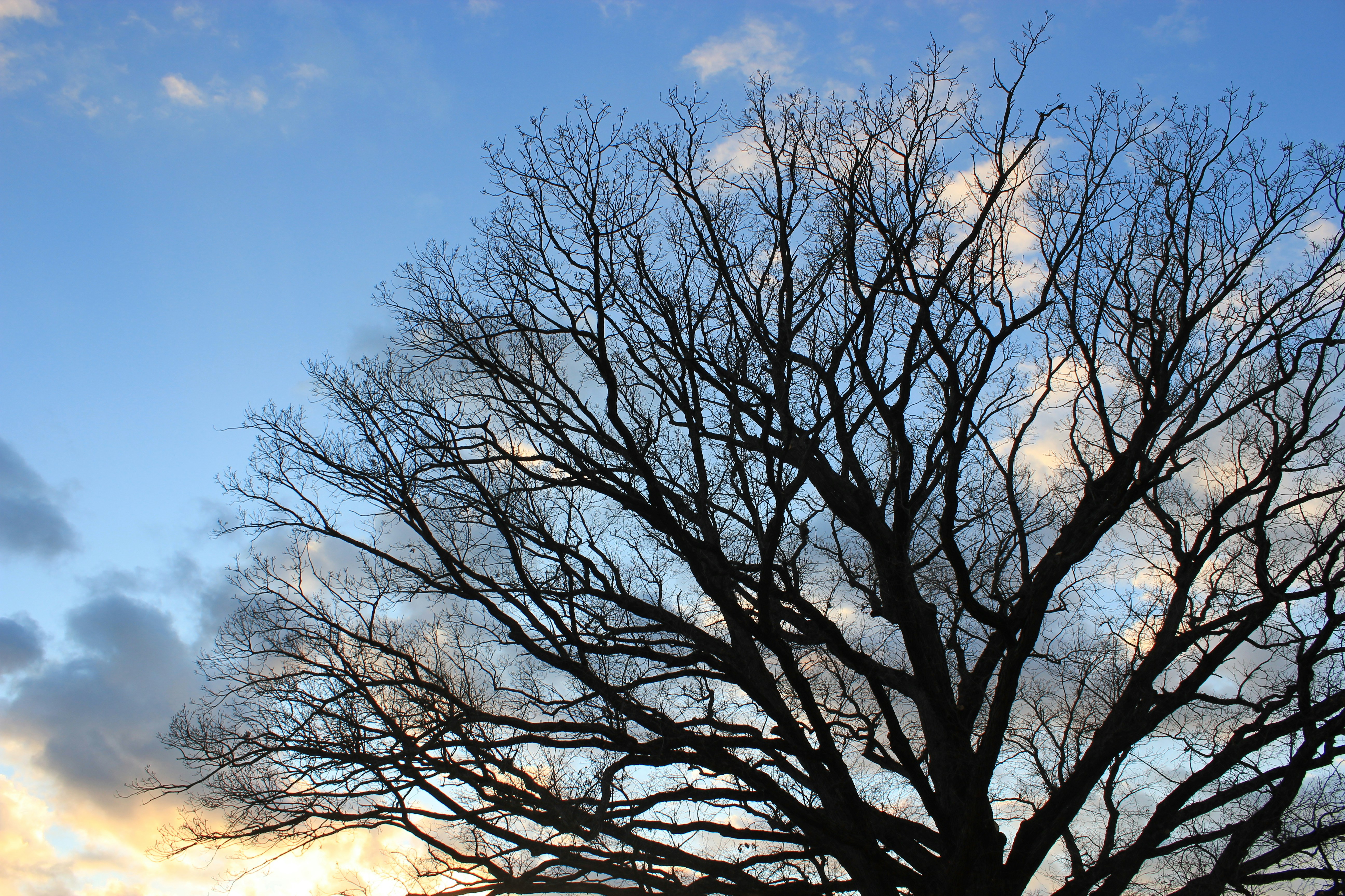 Photo by mrgreatheart