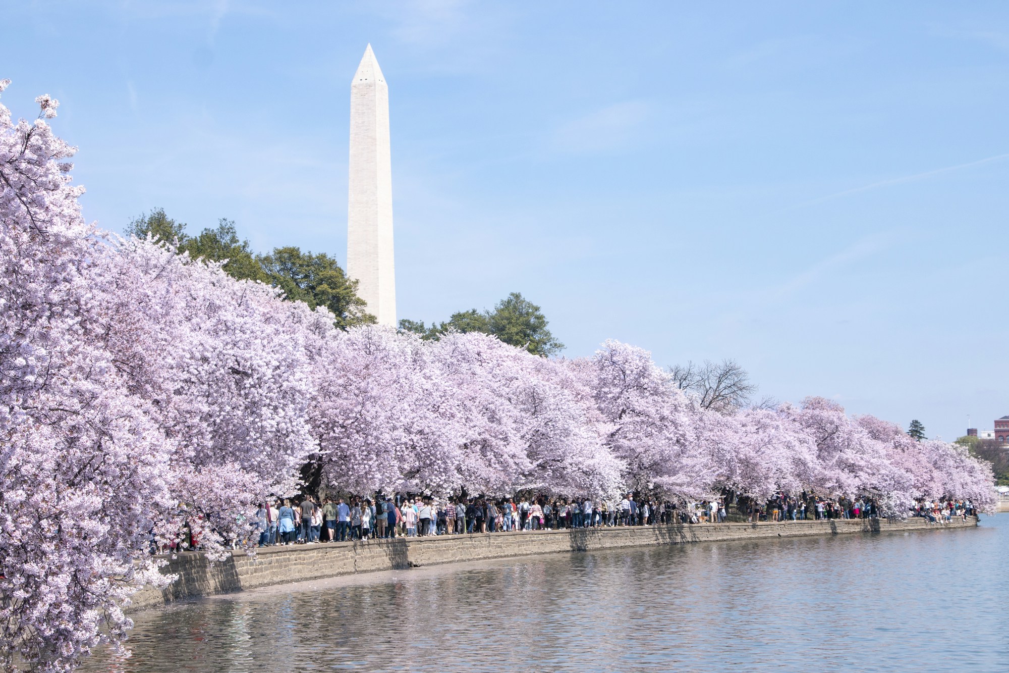 Washington D.C. Travel Guide: Essential Tips & Insights