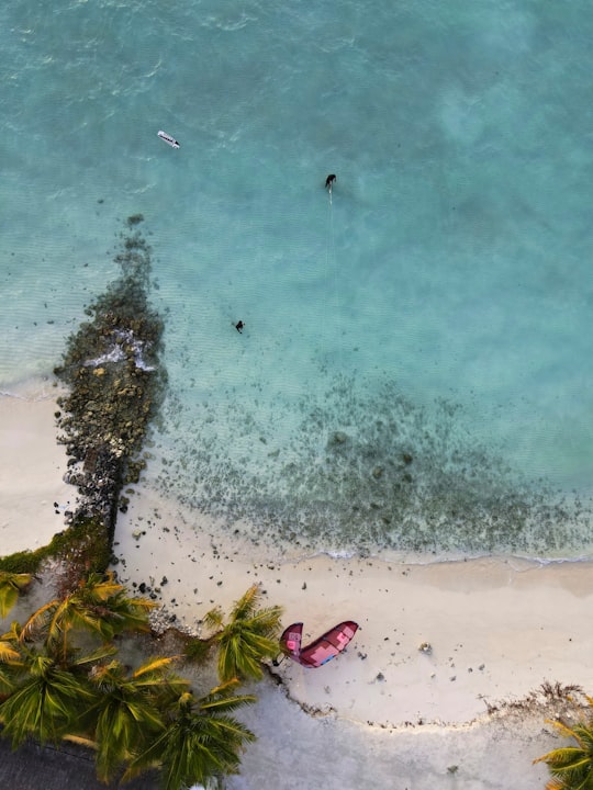 aerial view of people swimming on beach during daytime in Maldive Islands Maldives