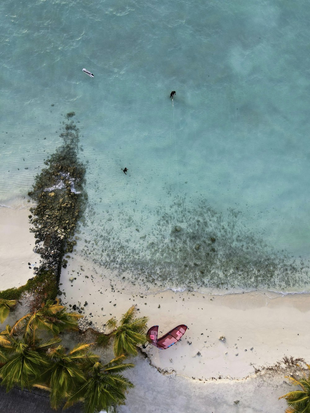 aerial view of people swimming on beach during daytime