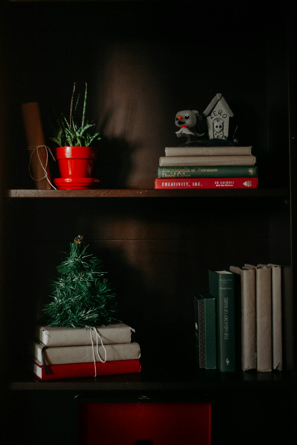 green plant on brown wooden shelf